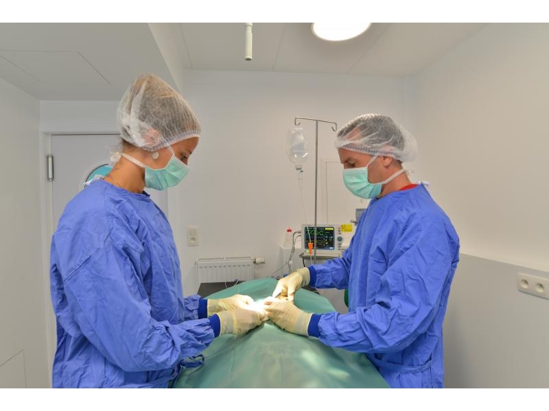 Chirurgie